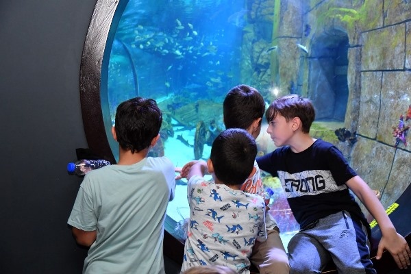 Trabzon Akvaryumu kaç kişi ziyaret etti! Turistler ilgi gösteriyor. Foto Haber 8