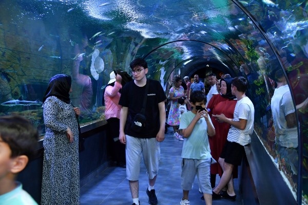 Trabzon Akvaryumu kaç kişi ziyaret etti! Turistler ilgi gösteriyor. Foto Haber 10