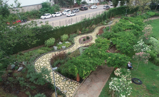 Trabzon Botanik Park'ta "Tıbbi ve Aromatik Bitkiler Koleksiyon Bahçesi" hayran bırakıyor.. Foto Galeri 3