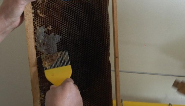 Anzer Balı'nda bal sağımı gerçekleştirildi. Foto Haber 7