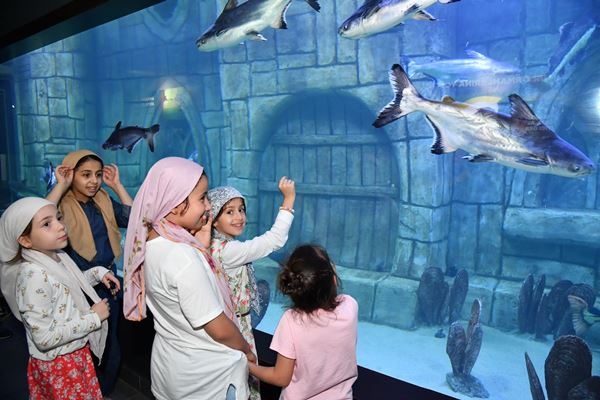 ‘Trabzon Akvaryum’ ziyaretçilerin gözbebeği oldu! Foto Galeri 9