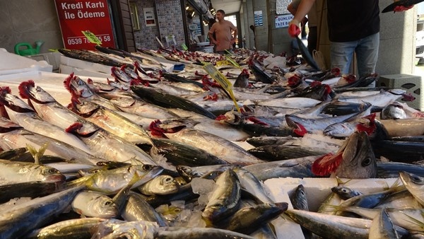 Av Yasağının kalkması ardından Trabzon'da tezgahlar doldu! İşte fiyatlar...Foto Haber 2