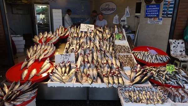 Av Yasağının kalkması ardından Trabzon'da tezgahlar doldu! İşte fiyatlar...Foto Haber 4