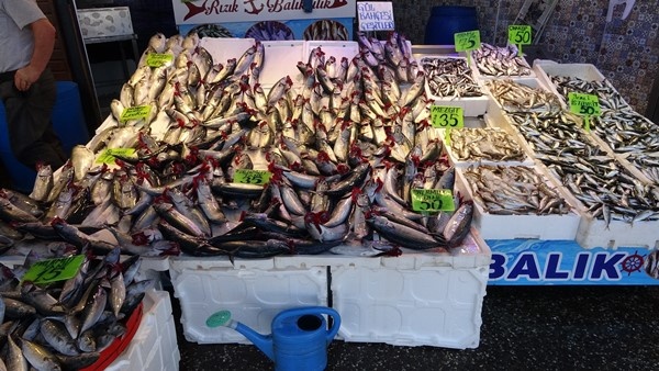 Av Yasağının kalkması ardından Trabzon'da tezgahlar doldu! İşte fiyatlar...Foto Haber 7