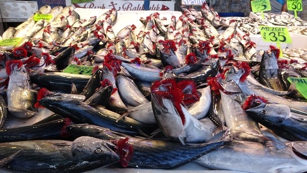 Av Yasağının kalkması ardından Trabzon'da tezgahlar doldu! İşte fiyatlar...Foto Haber 10