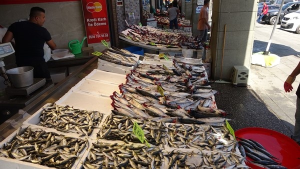 Av Yasağının kalkması ardından Trabzon'da tezgahlar doldu! İşte fiyatlar...Foto Haber 13