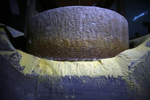 Karadeniz'in çalışkan kadınlarından mısır unu mesaisi. Foto Haber 11