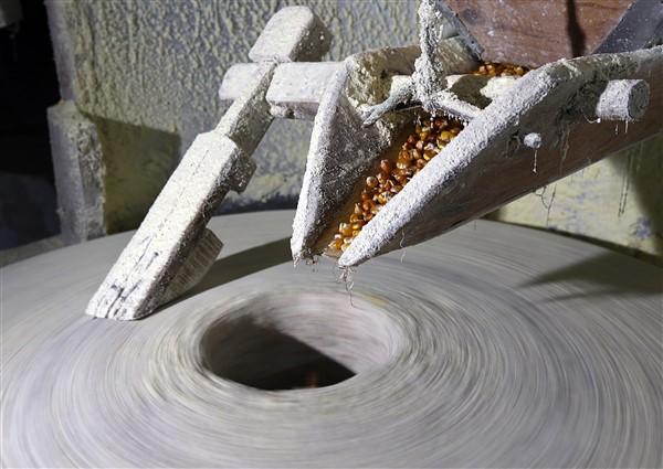 Karadeniz'in çalışkan kadınlarından mısır unu mesaisi. Foto Haber 10