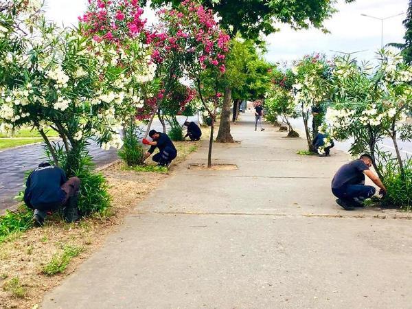 Akçaabat’ta hizmet seferberliği devam ediyor. Foto Haber 6