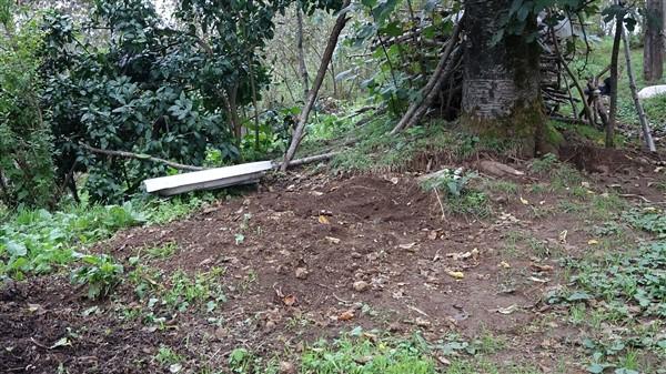 Trabzon'dak köpeki ölümleri ile alakalı korkunç iddia! Foto Haber 12