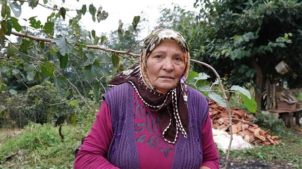 Trabzon'dak köpeki ölümleri ile alakalı korkunç iddia! Foto Haber 10