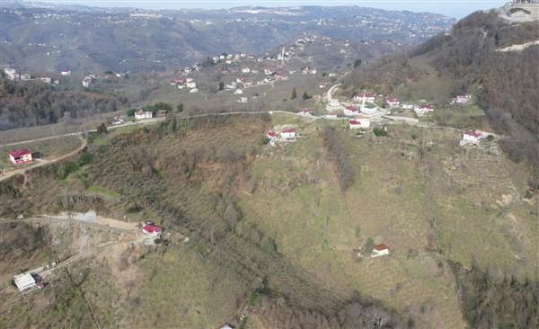 Trabzon'dak köpeki ölümleri ile alakalı korkunç iddia! Foto Haber 5