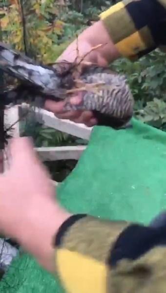 Rize'de ilginç olay! Tulum çaldığı sırada yaşadığı olay şaşırttı. Foto Haber 5