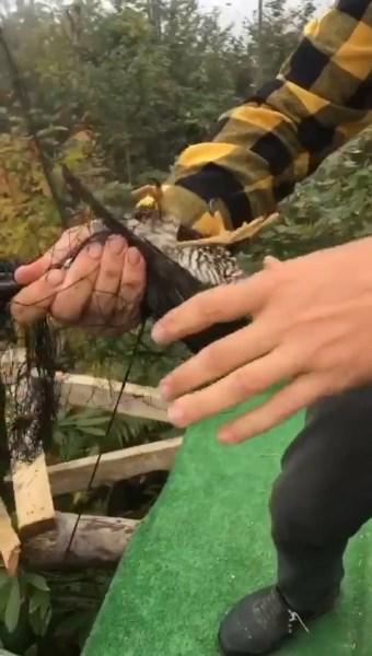 Rize'de ilginç olay! Tulum çaldığı sırada yaşadığı olay şaşırttı. Foto Haber 6