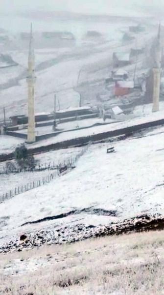 Trabzon'da yaylalarda karaltında zorlu mesai! Foto Haber 4
