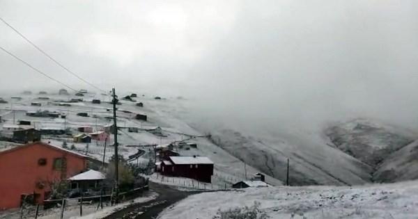 Trabzon'da yaylalarda karaltında zorlu mesai! Foto Haber 2