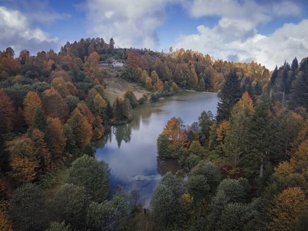 Trabzon'da Taşlıyatak Yaylası sonbahar renklerine büründü. Foto Galeri 14