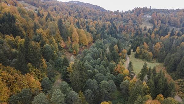 Trabzon'da Taşlıyatak Yaylası sonbahar renklerine büründü. Foto Galeri 6