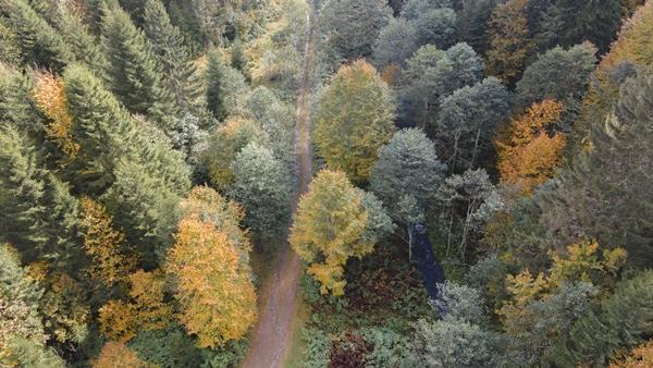 Trabzon'da Taşlıyatak Yaylası sonbahar renklerine büründü. Foto Galeri 4
