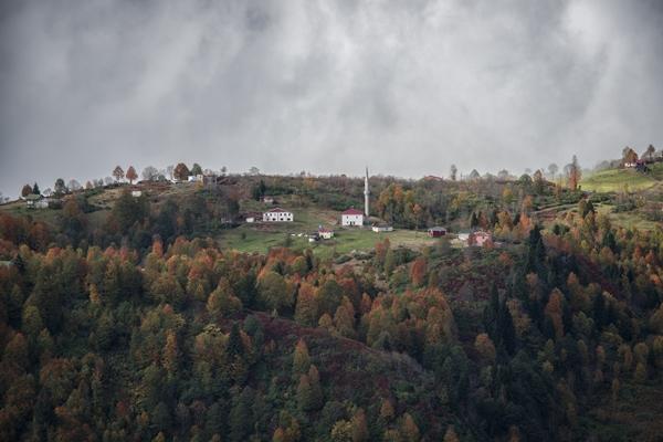 Trabzon'da Taşlıyatak Yaylası sonbahar renklerine büründü. Foto Galeri 12
