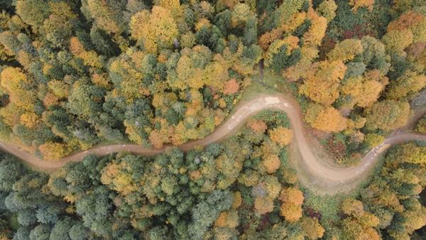 Trabzon'da Taşlıyatak Yaylası sonbahar renklerine büründü. Foto Galeri 11