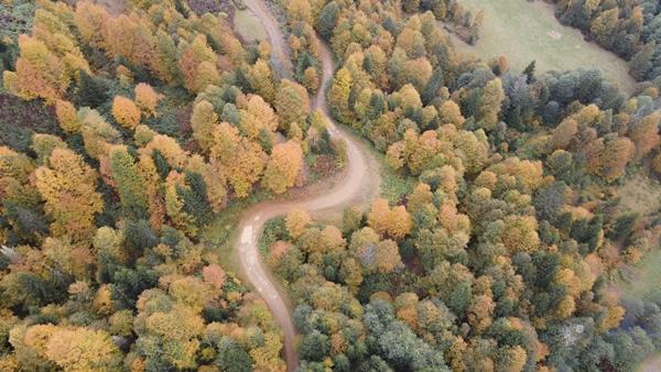 Trabzon'da Taşlıyatak Yaylası sonbahar renklerine büründü. Foto Galeri 10