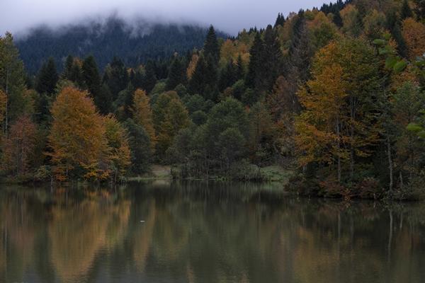 Trabzon'da Taşlıyatak Yaylası sonbahar renklerine büründü. Foto Galeri 8