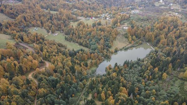 Trabzon'da Taşlıyatak Yaylası sonbahar renklerine büründü. Foto Galeri 7