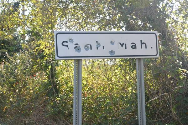 Ordu'da magandalar iş başında! Delik deşik ettiler. Foto Haber 5