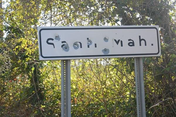 Ordu'da magandalar iş başında! Delik deşik ettiler. Foto Haber 4