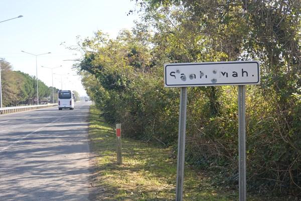 Ordu'da magandalar iş başında! Delik deşik ettiler. Foto Haber 2
