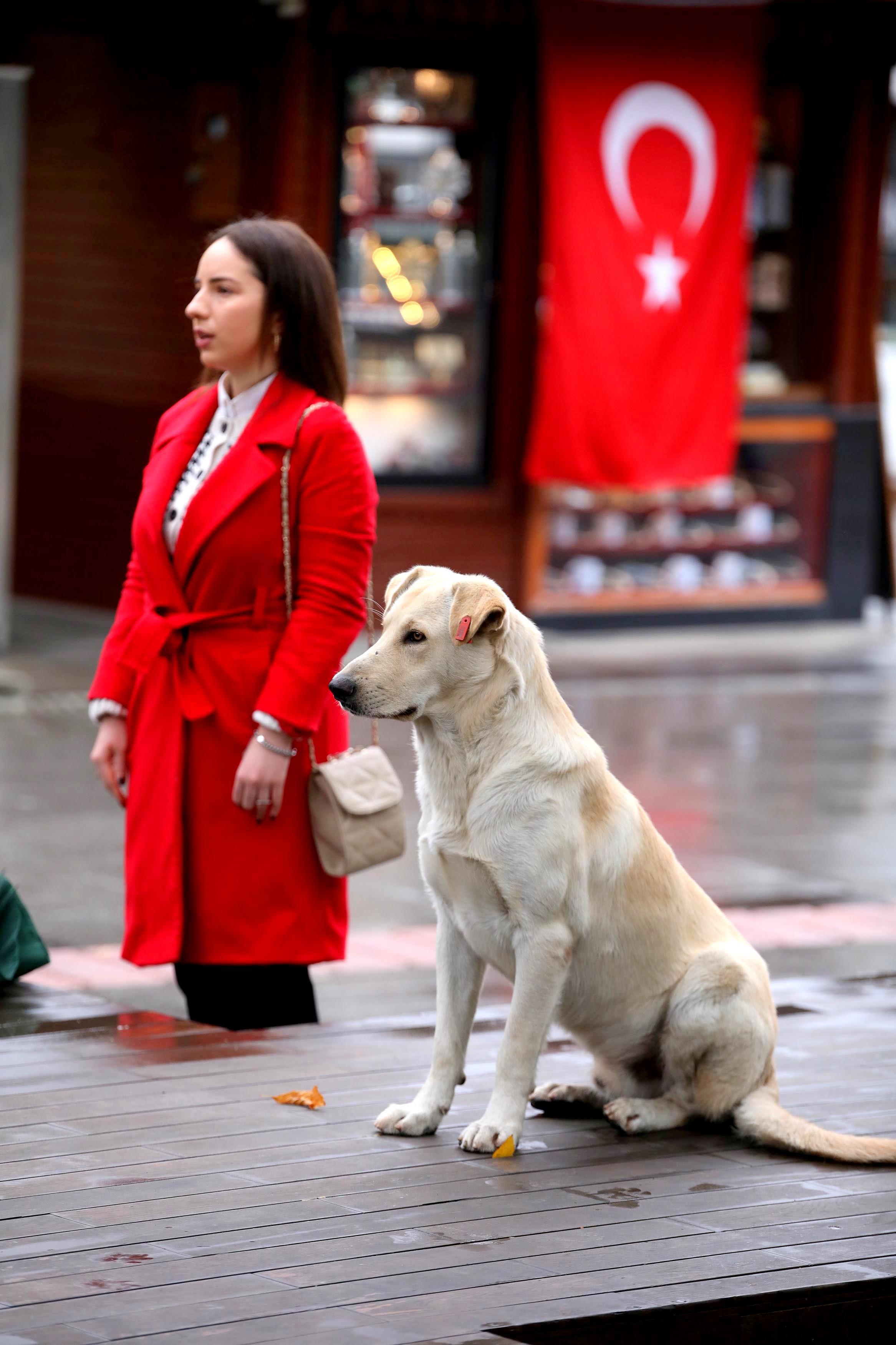 Trabzon'da hayat durdu! Ata'ya saygılarını böyle gösterdiler 12