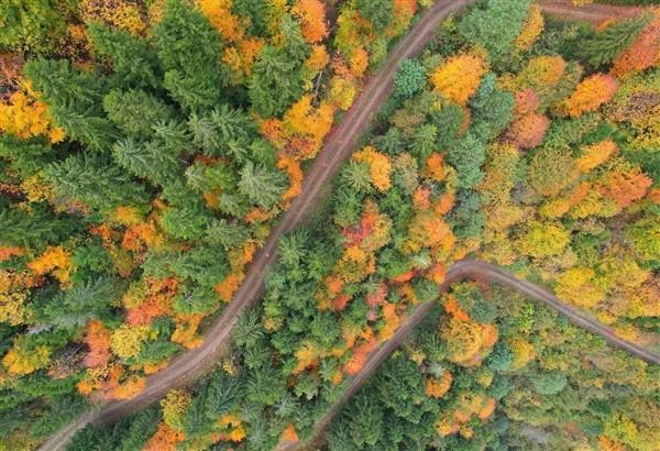 Trabzon'da sonbahar: Hayran bırakıyor. Foto Galeri 11
