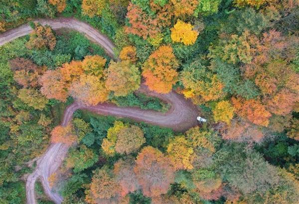 Trabzon'da sonbahar: Hayran bırakıyor. Foto Galeri 9