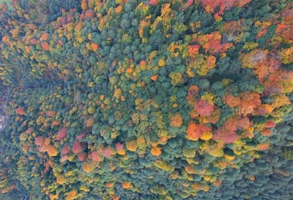 Trabzon'da sonbahar: Hayran bırakıyor. Foto Galeri 10