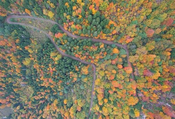 Trabzon'da sonbahar: Hayran bırakıyor. Foto Galeri 2