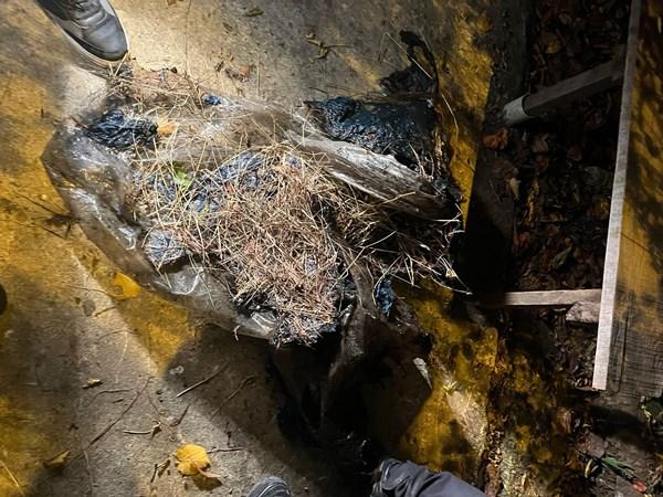 Ordu'da gece yarısı korkutan yangın 4