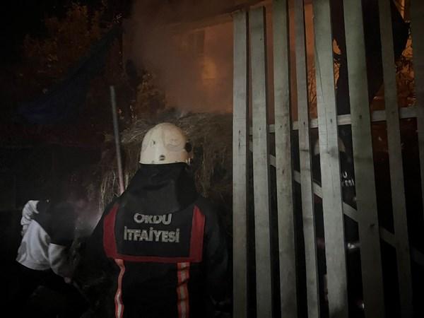 Ordu'da gece yarısı korkutan yangın 5