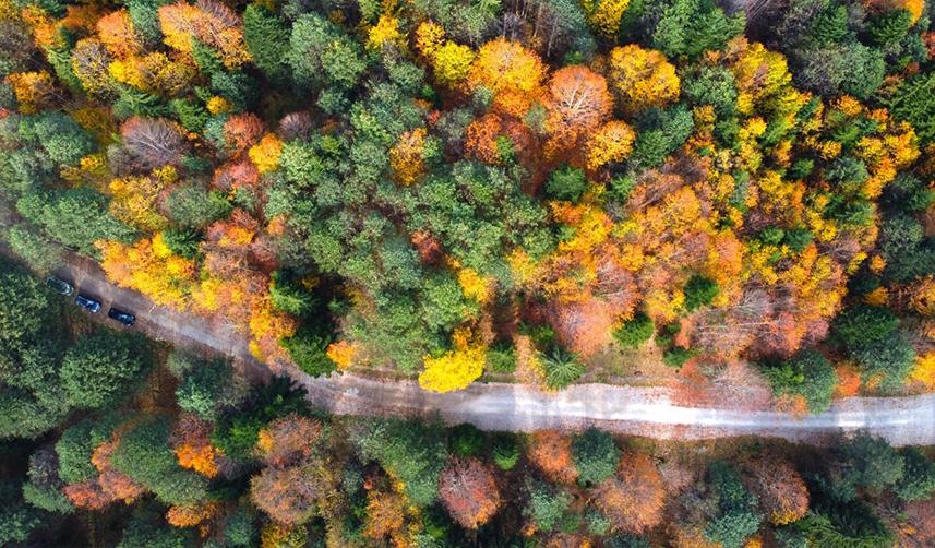 Artvin’in Karagölleri’ni bir yılda 140 bin kişi gezdi 3