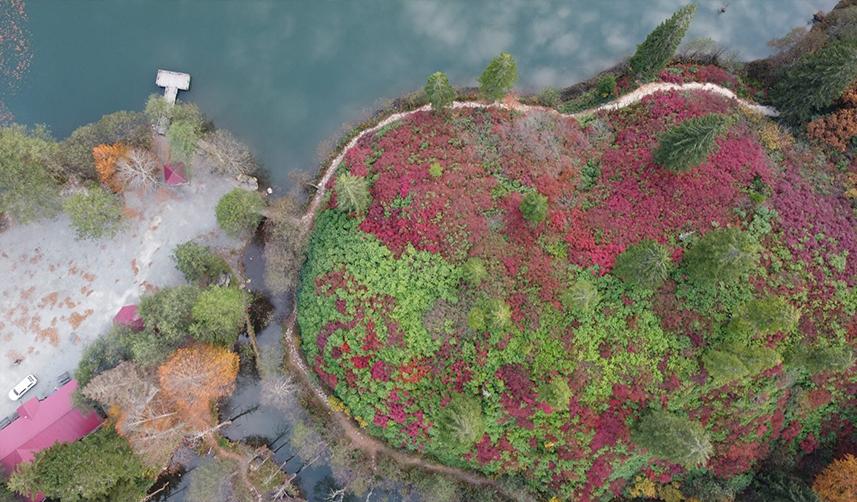 Artvin’in Karagölleri’ni bir yılda 140 bin kişi gezdi 4