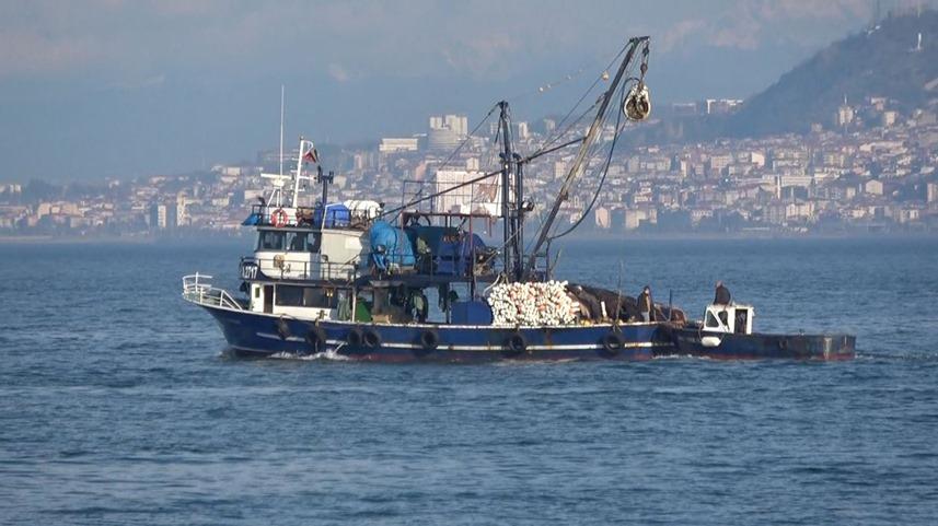 Dünyada çok pahalı ve en çok üretilen tür! Karadeniz'i istila ediyor 4