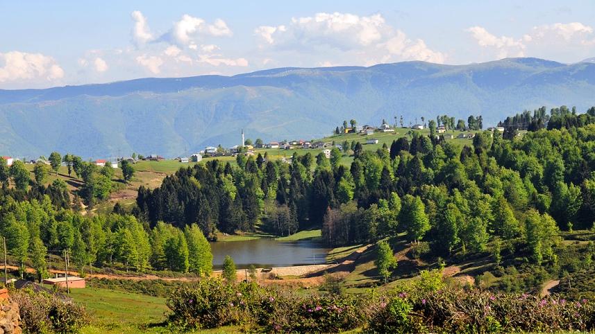 Trabzon'da Hıdırnebi neden atıl durumda? “5 tane Ayder eder” 8