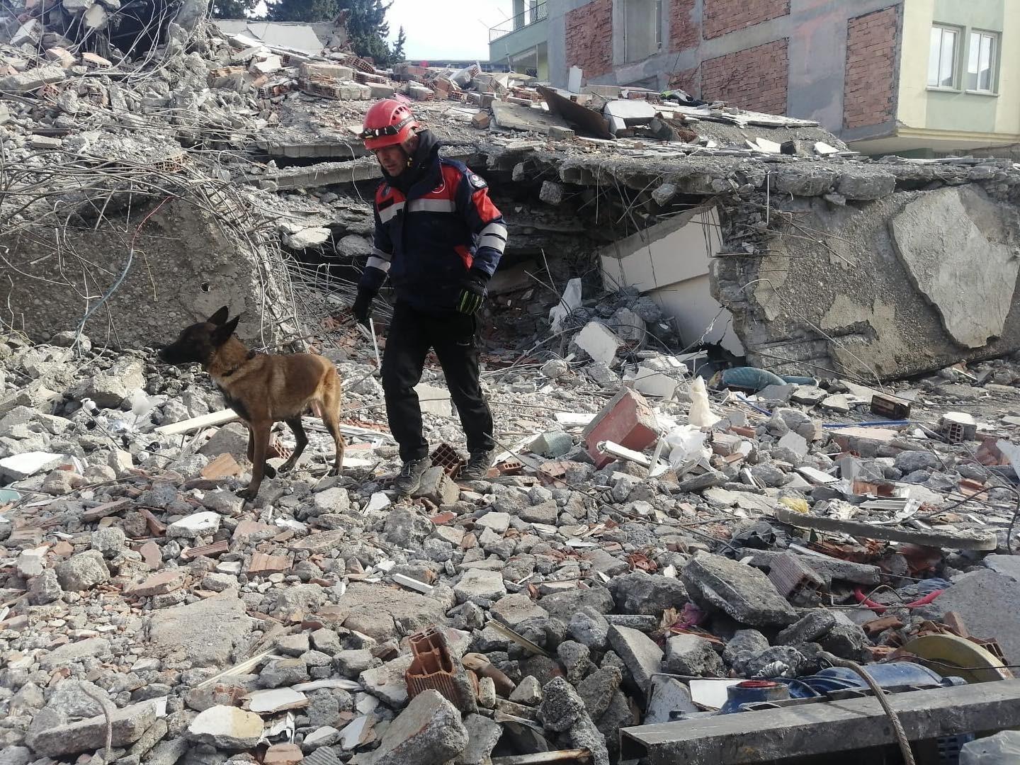 Trabzon Büyükşehir Belediyesi yara sarıyor 3