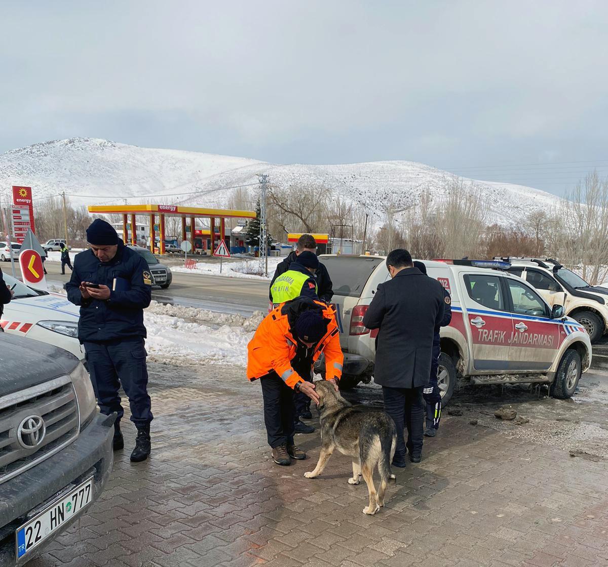 Trabzon Büyükşehir Belediyesi yara sarıyor 13
