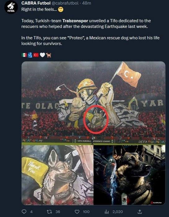 Trabzonspor'un deprem koreografisi Dünyada ses getirdi 8