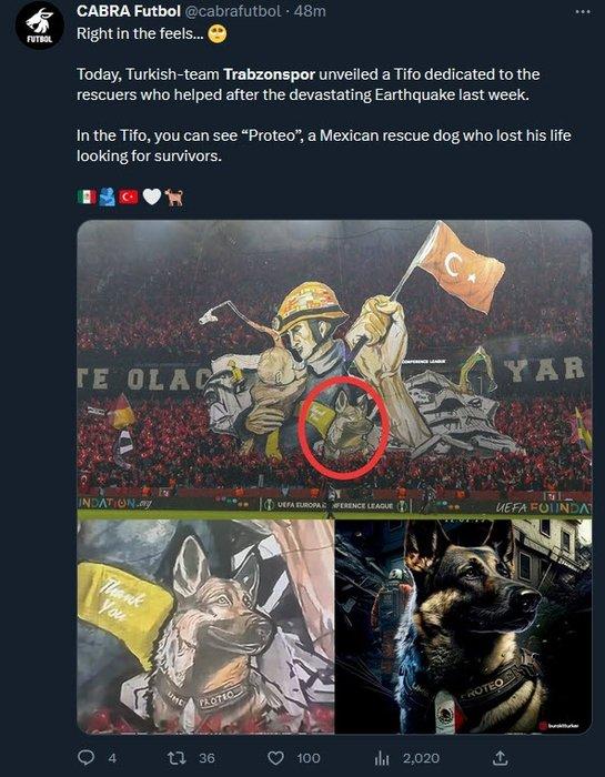 Dünya Trabzonspor maçınındaki koreografiyi konuşuyor "Muhteşem" 13