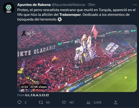 Dünya Trabzonspor maçınındaki koreografiyi konuşuyor "Muhteşem" 17