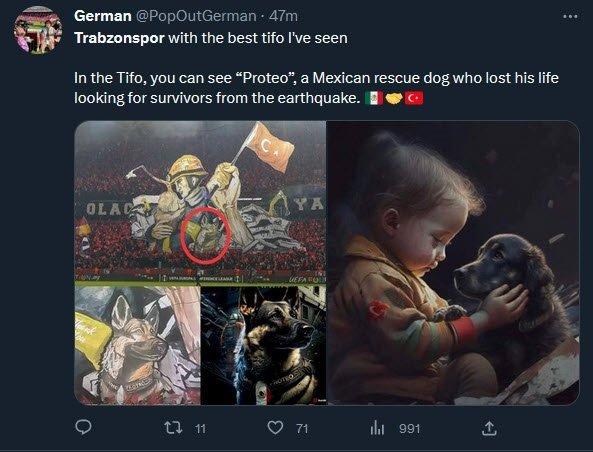 Dünya Trabzonspor maçınındaki koreografiyi konuşuyor "Muhteşem" 16