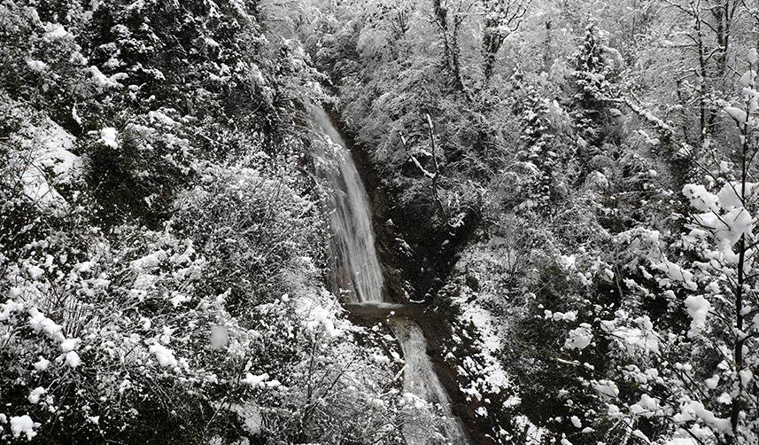 Karadeniz'in yüksek kesimlerinde yağan kar kartpostallık görüntüler oluşturdu 3