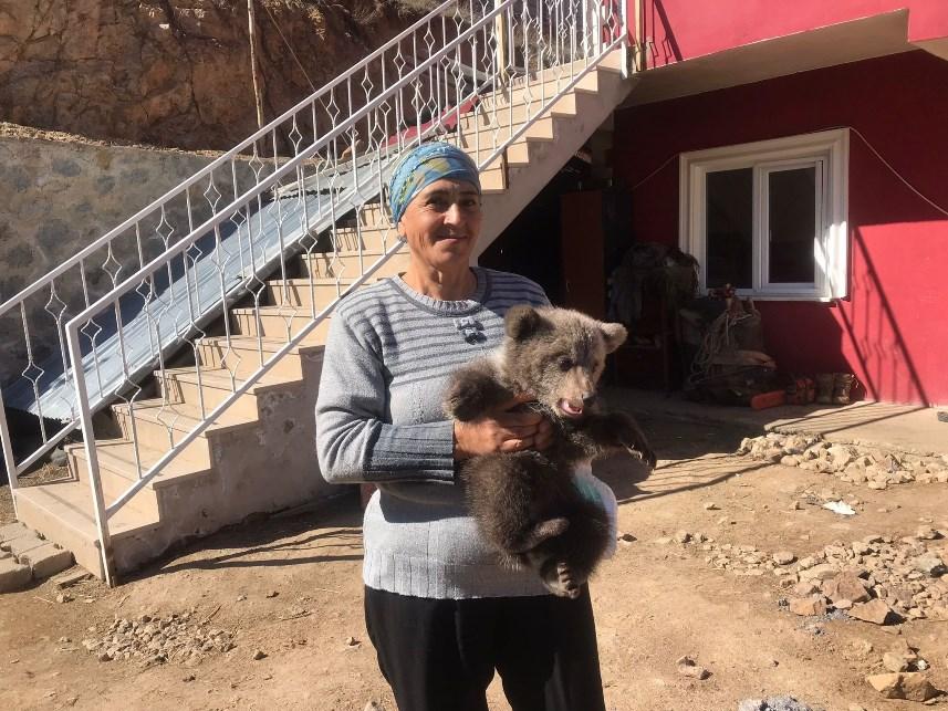 Gümüşhane'de Bebek bezli yavru ayı ‘Yogi’ evin maskotu oldu 3